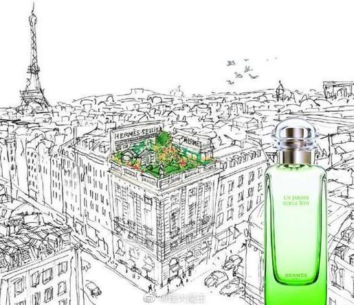 女生比较加分的香水 (职场律师香水推荐)