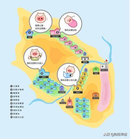 为什么马云刘强东都加入养猪行业,2018年马云养猪