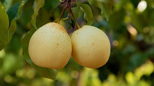 我的家乡邯郸图片,河北邯郸的第二个故乡