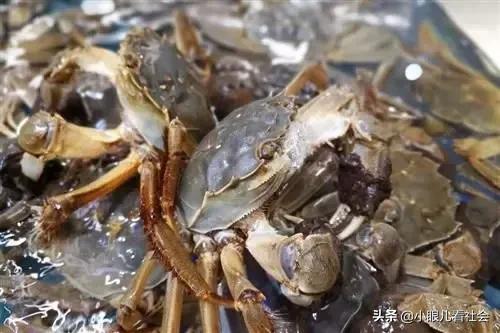 阳澄湖大闸蟹99元30只直播团购,阳澄湖大闸蟹99元包邮