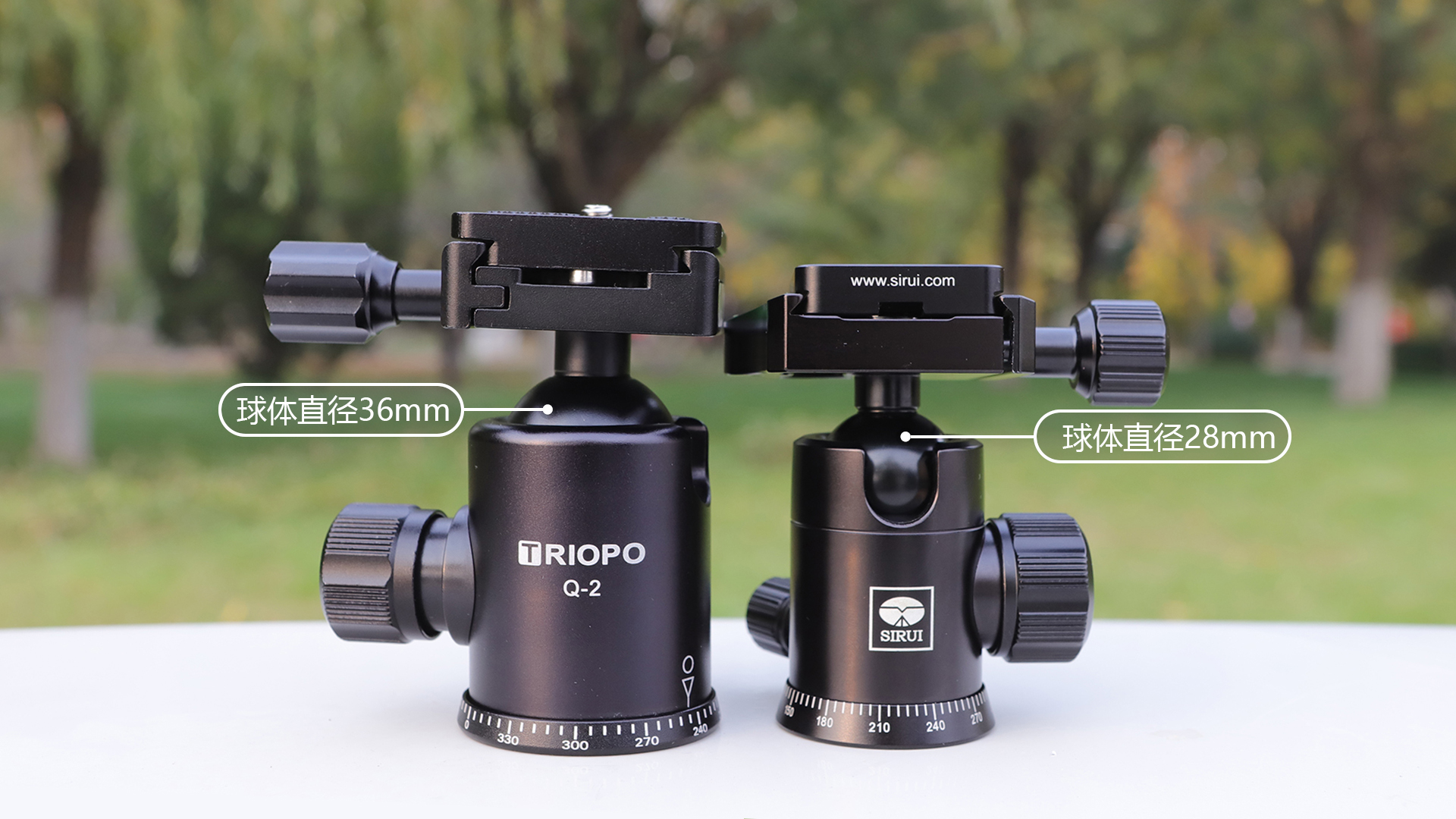 如何选择思锐三脚架,思锐碳纤维迷你三脚架测评