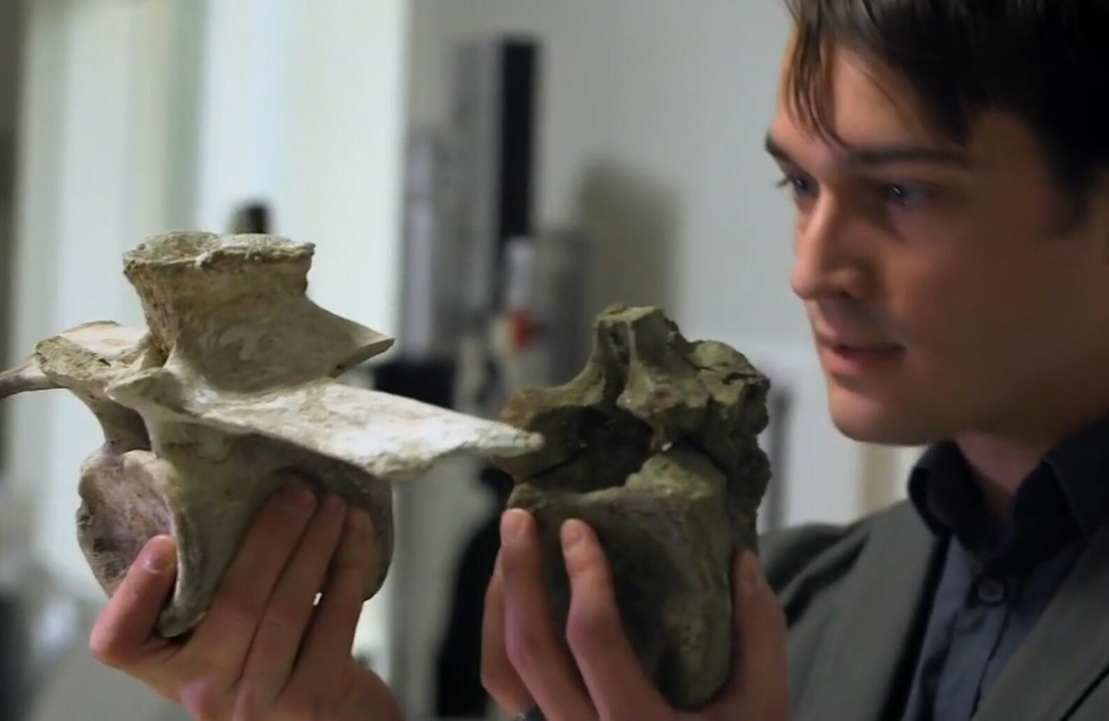 鳄鱼和沧龙还有鲨鱼谁更厉害,巨鳄和沧龙哪个比较厉害