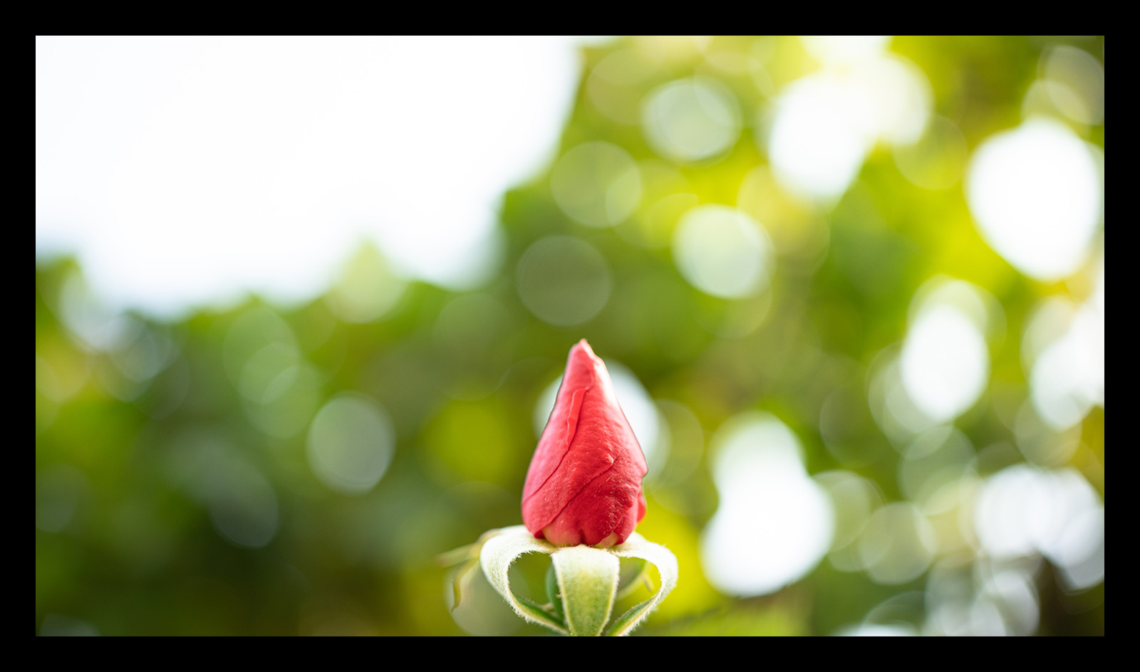 腾龙24mmf2.8全画幅广角微单镜头,腾龙352.8索尼镜头