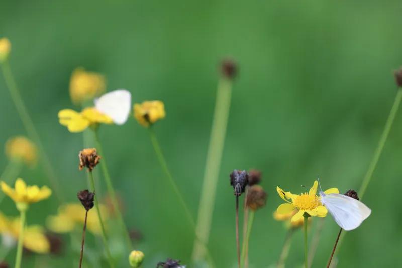 圈子不同不必强融搞笑语录,圈子不同不必强融有幽默的说法吗