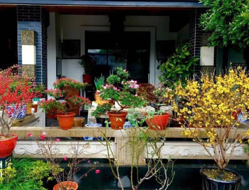 花草黄叶烂根怎么回事,养花草35年也不积水烂根黄叶