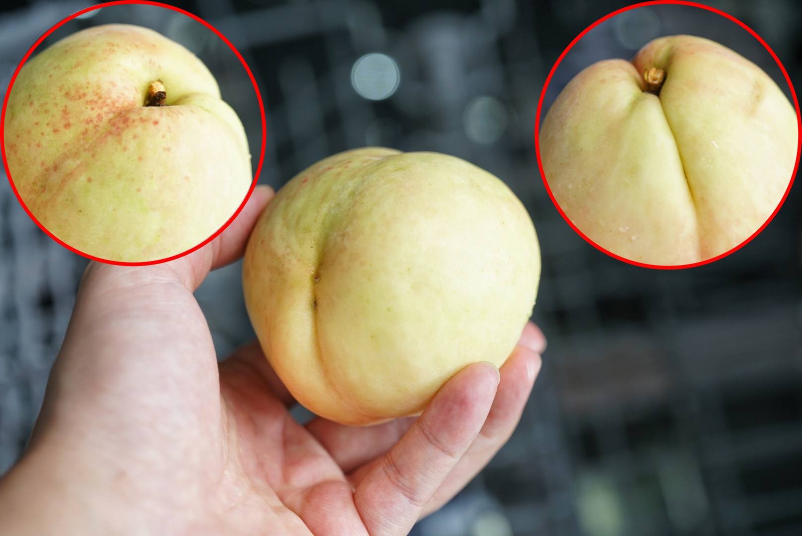 美的洗碗机p40-pro使用方法,美的p40洗碗机添加洗碗盐视频