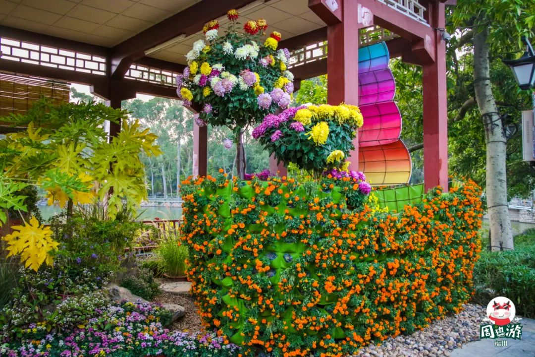 福州菊花展21年还有吗,福州西湖菊花展人山人海