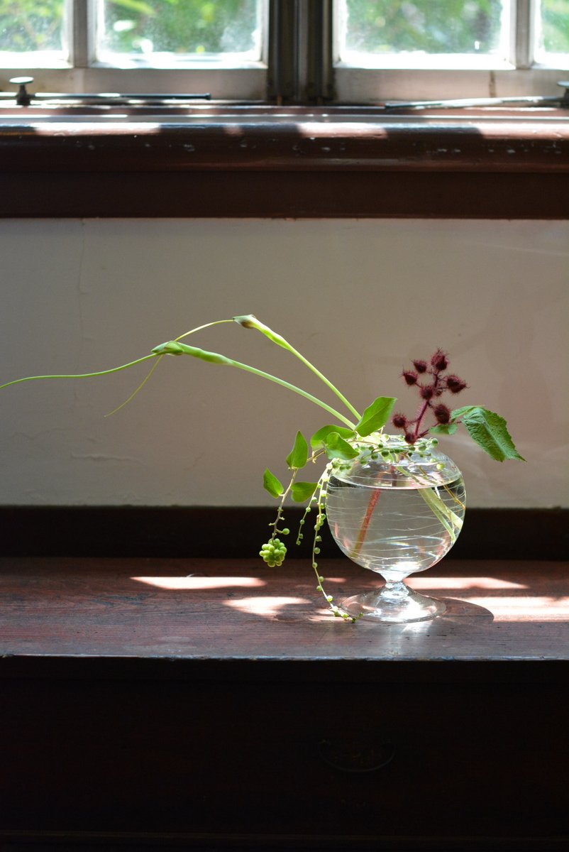 日本最红的店,日本最火的店铺