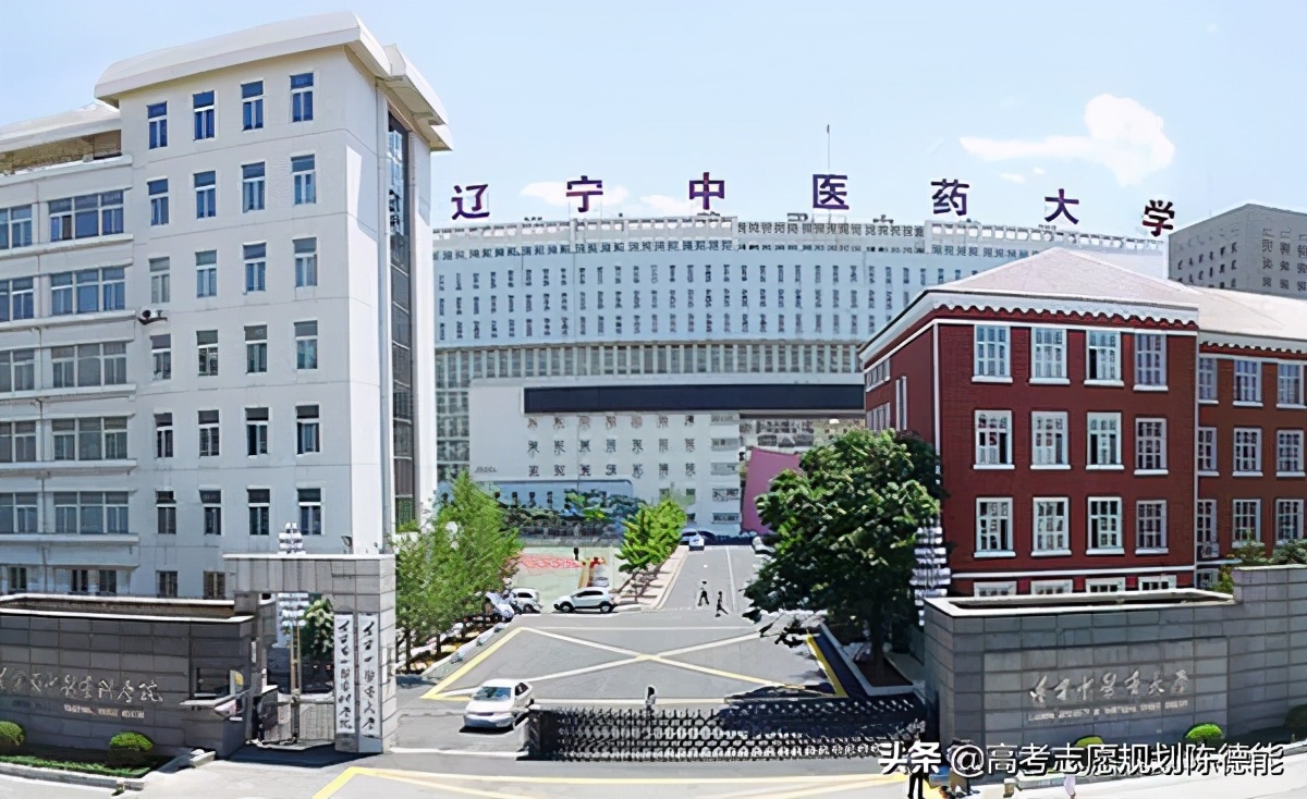 南方医科大学中医学科评估,中医学科排行榜前十名