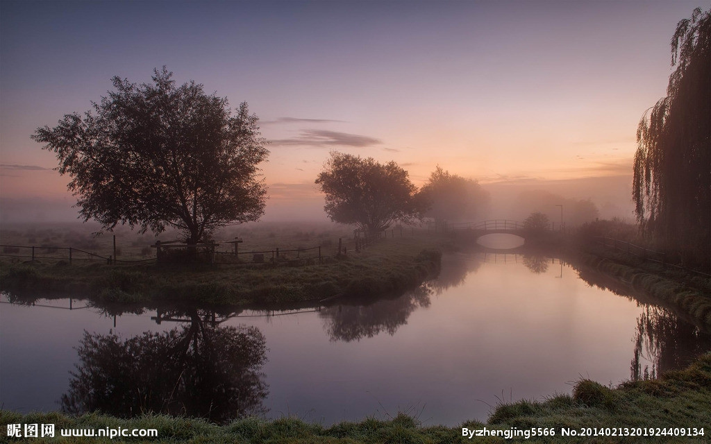 你知道蜻蜓为什么会飞吗？爱情必须轻，轻到可以在空气起舞