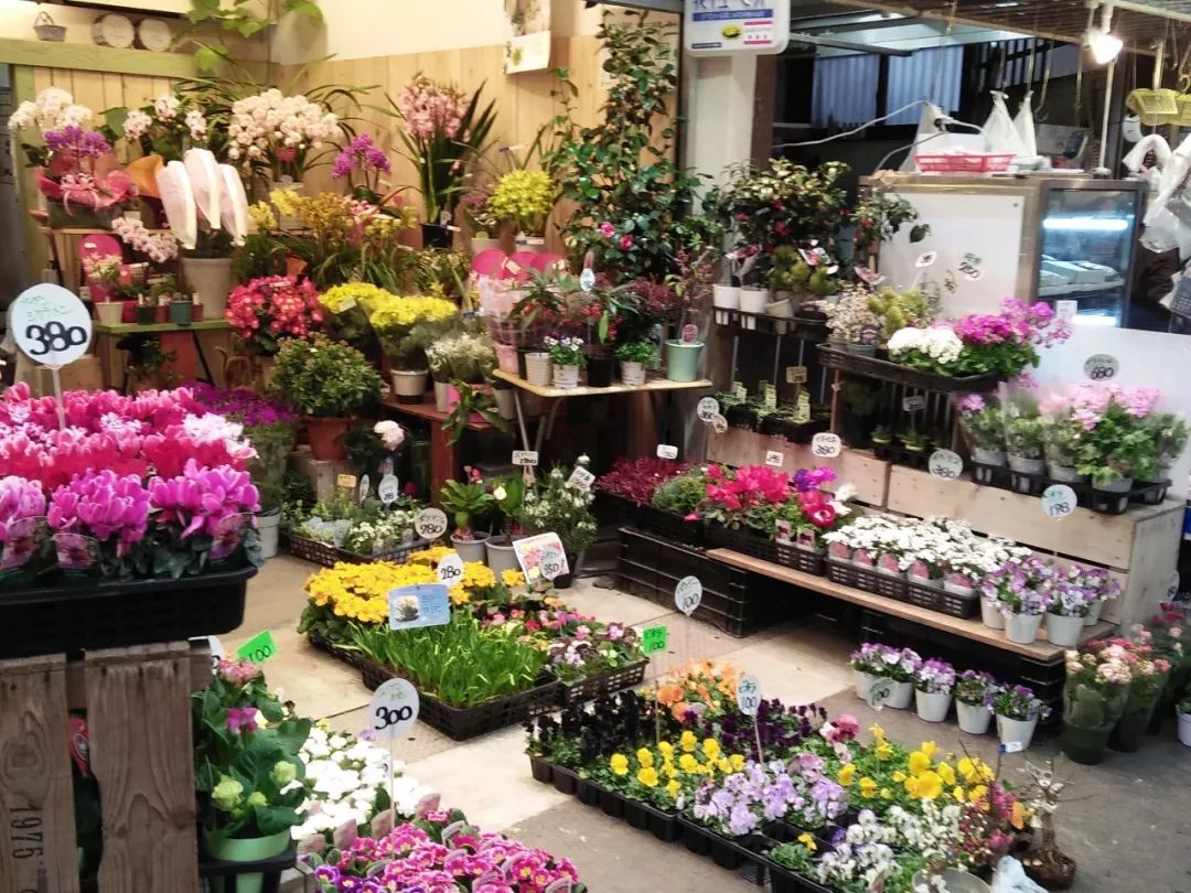 日本花店探店,日本花店攻略