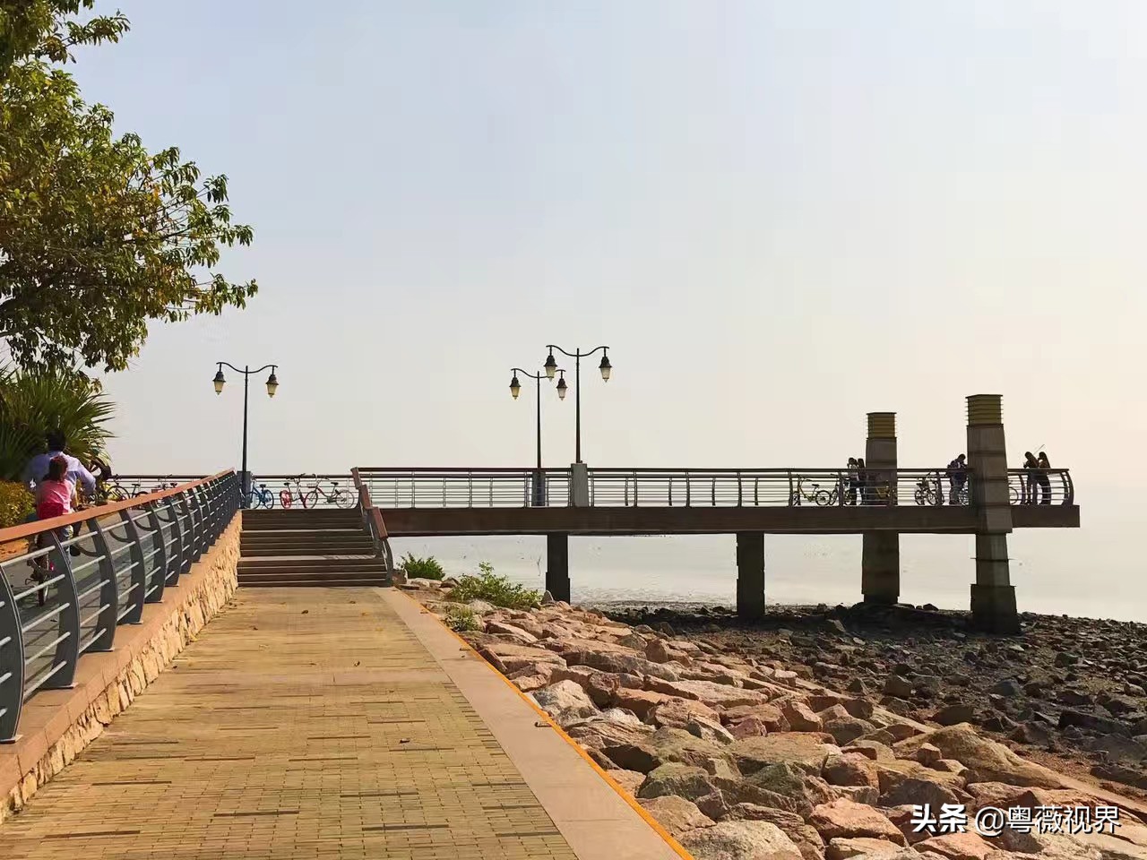 乘着地铁看海,乘地铁逛深圳