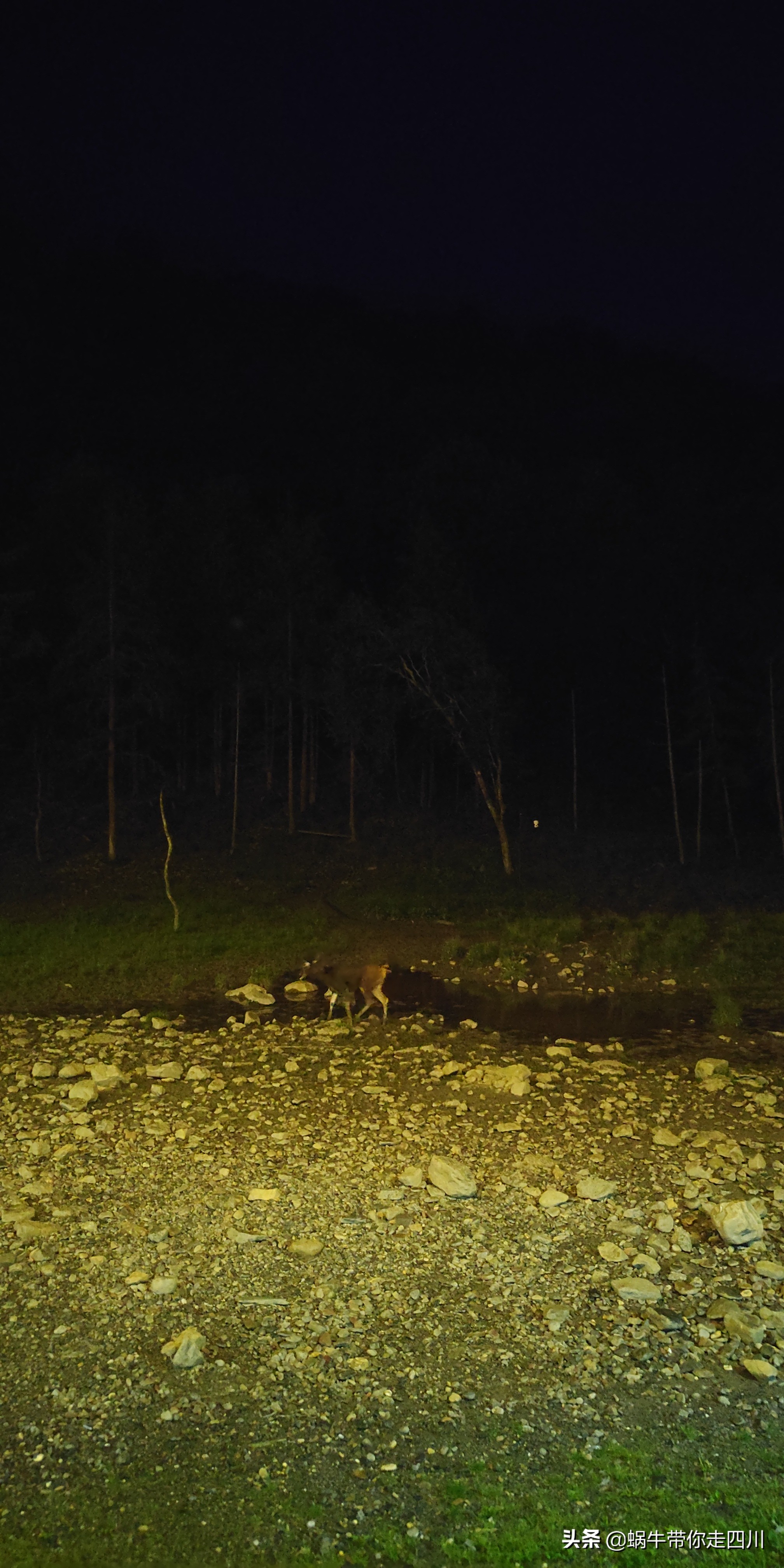 成都到西藏旅游一家三口,成都出发三天两夜旅行套票