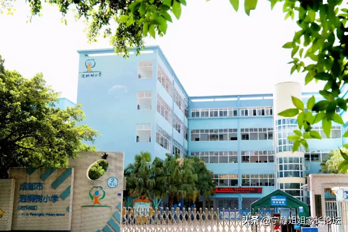 泡桐树小学分校排名,成都泡桐树小学境界分校