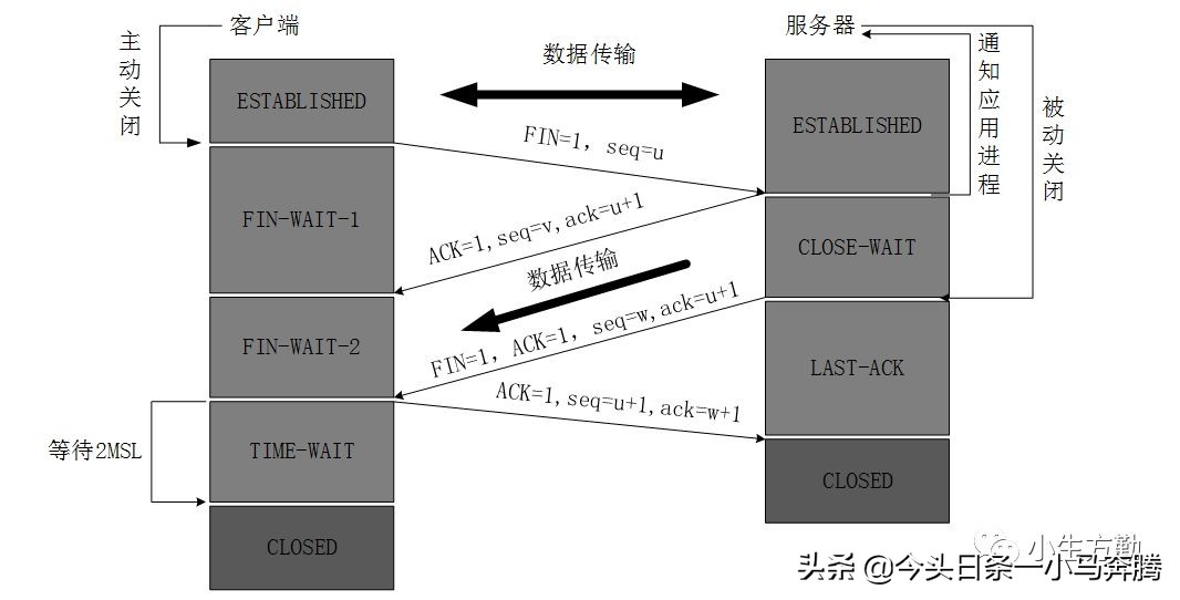 0基础学网络,计算机网络基础