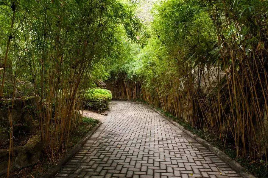 来清远必要玩的地方,去清远玩