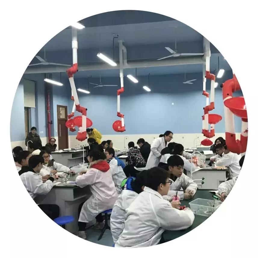 合肥市阳光中学四川路校区,合肥阳光中学四川路多少班