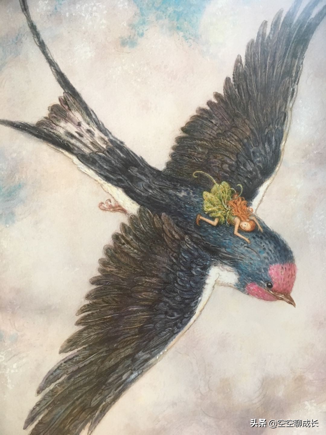 童话故事拇指姑娘阅读感悟,童话拇指姑娘故事