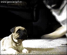 守门员表情包搞笑动图,守门员逆天运气gif