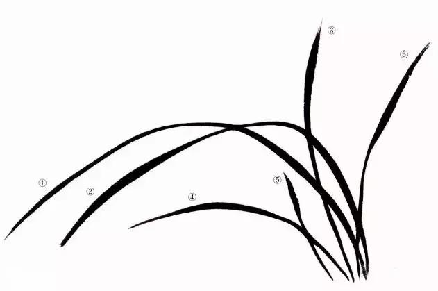 跟徐湛学国画兰草的画法,跟徐湛老师学国画全集兰草画法