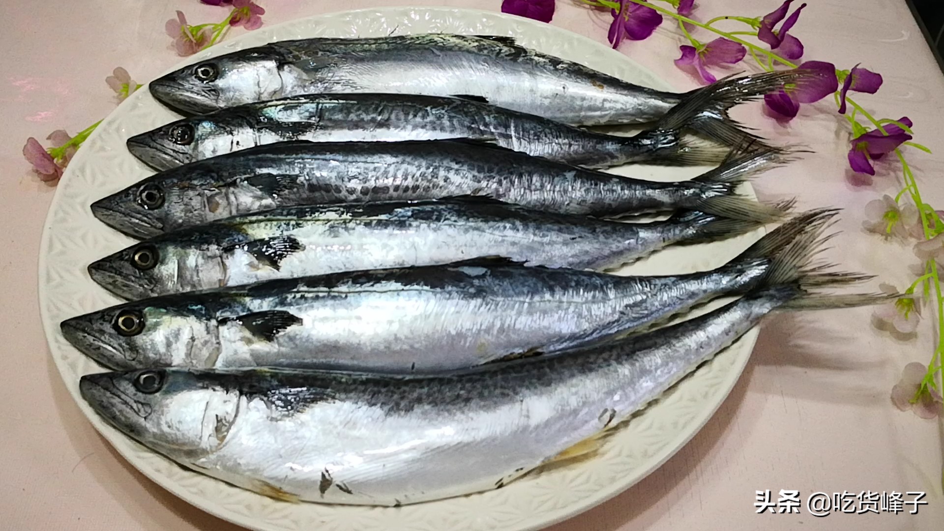 春节前卖什么鱼最好养殖,人工养殖鱼哪种最安全