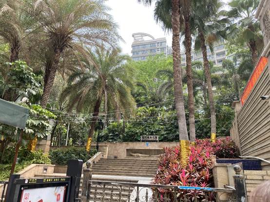 增城地铁口楼盘离天河最近有哪些,增城有哪些近地铁的楼盘