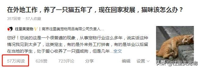 把宠物从国内带到国外要多少钱,把宠物从烟台运到天津