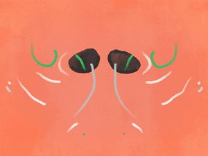 越贵的口红质量越好吗,几十块钱的大牌口红是真的吗