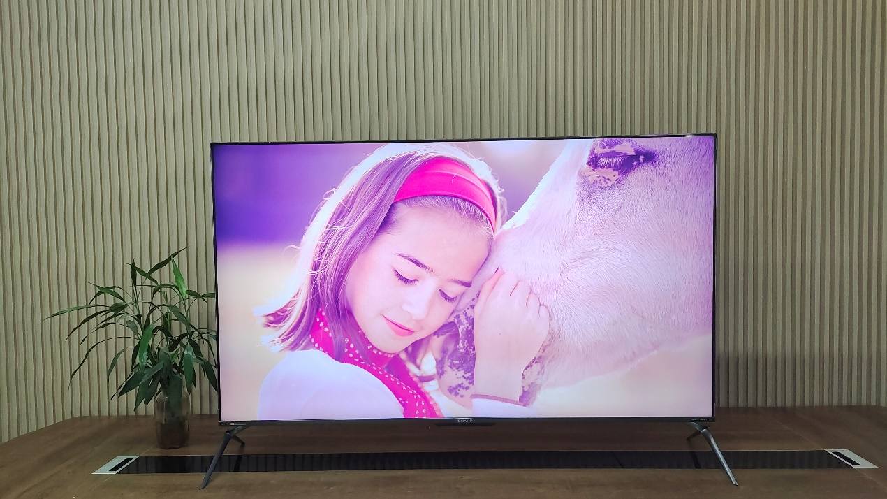 4k100寸旗舰电视,夏普55寸电视机测评