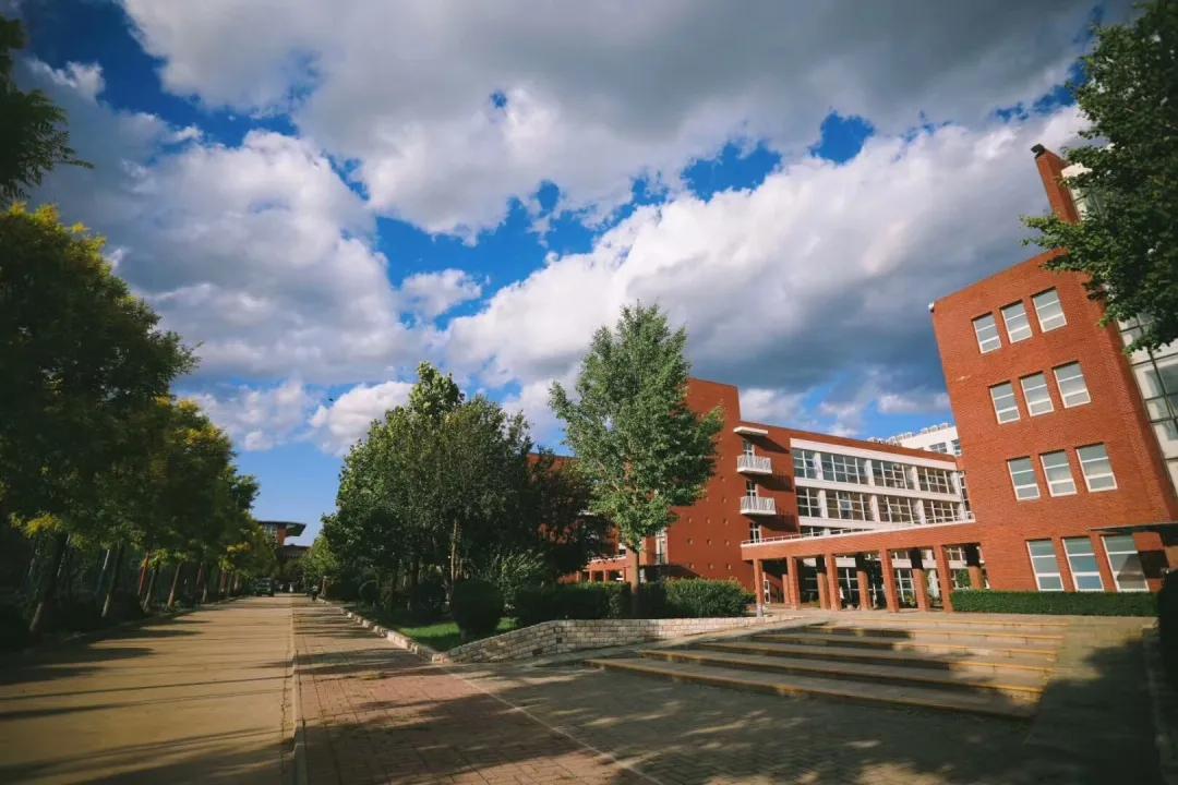 北京外国语大学招生条件,北京外国语大学的报考条件