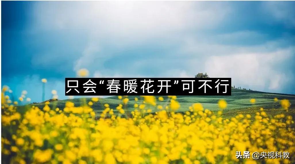 描写春天美景的成语或词语,形容春天的词语成语有哪些