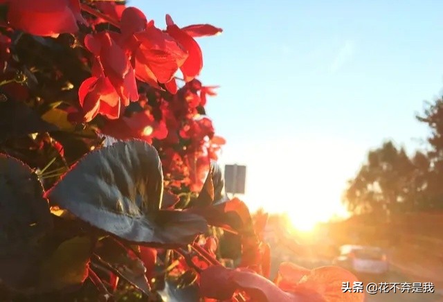 51岁冻龄美妈年轻照片,51岁冻龄美妈近况