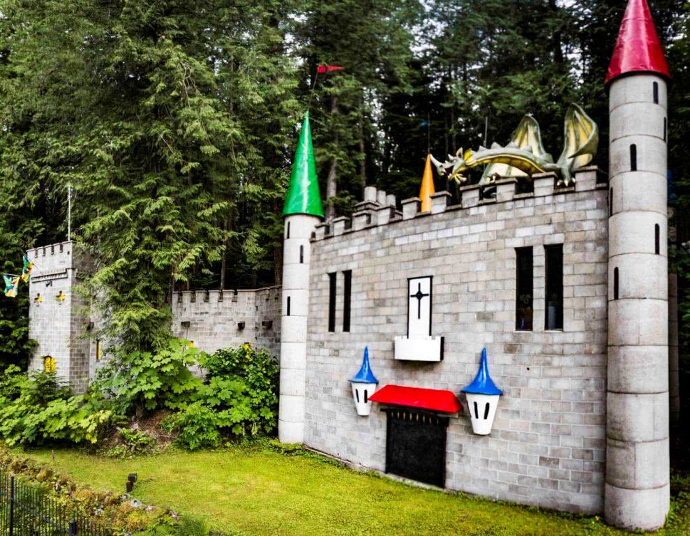 加拿大童话梦想！隐藏八百年前森林中，百万游客，老板：我不玩了