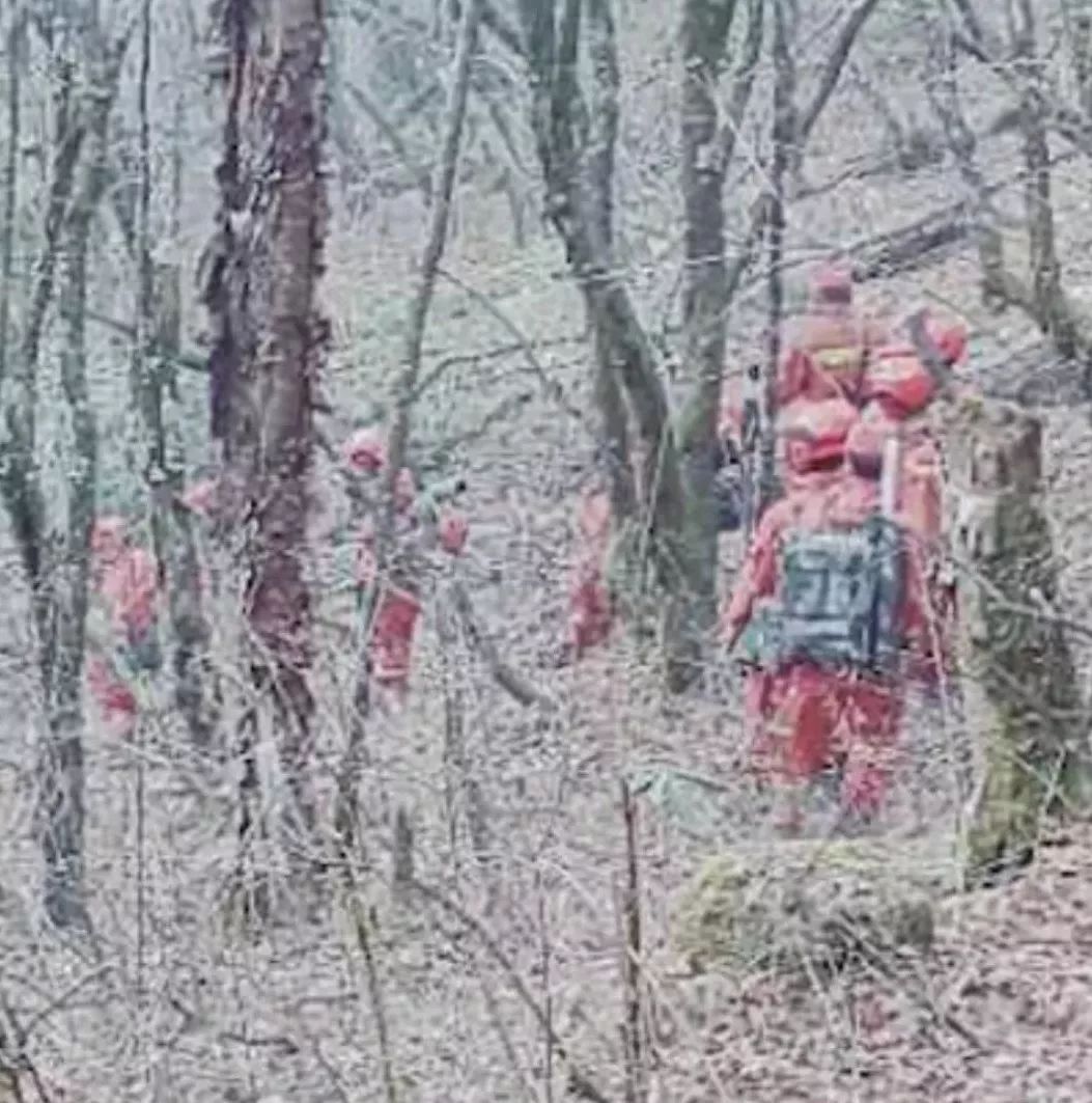 鍚戞鑰岀敓娑呯洏閲嶇敓,娴寸伀娑呯洏鍚戦槼鑰岀敓