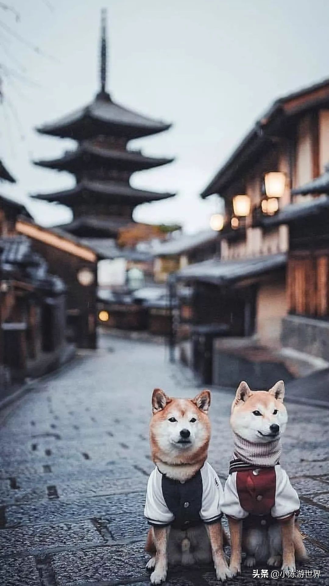 日本赴华旅行,日本赴中国旅游