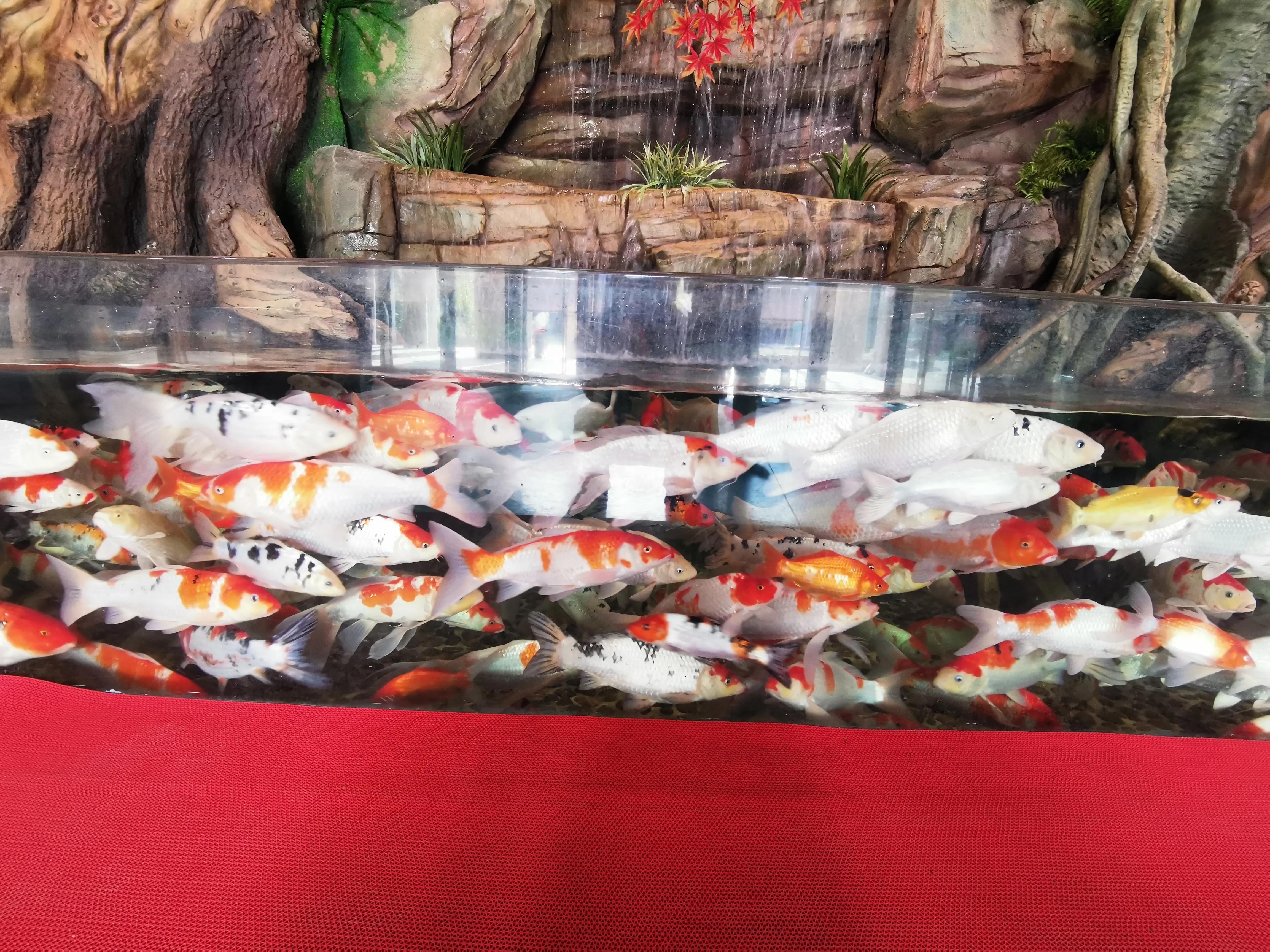 璧拌繘娴锋磱鍔ㄧ墿娴峰簳涓栫晫,鍙傝娴峰簳涓栫晫娴锋磱鍔ㄧ墿瑙嗛