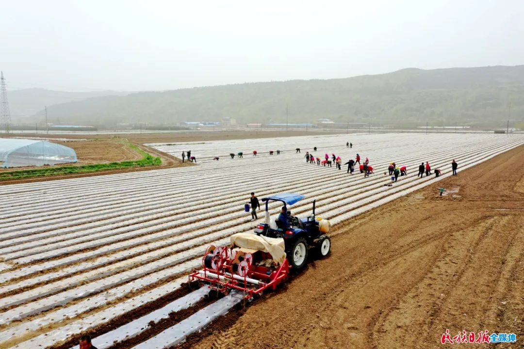 临夏州重点项目谋划情况,临夏州重点工作现场观摩推进会