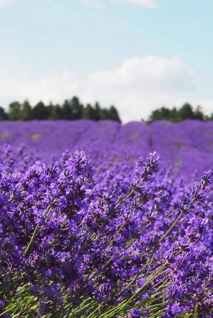 恬静乡村，摇滚乐调，古城烟雨……这里有你不知道的多面英伦