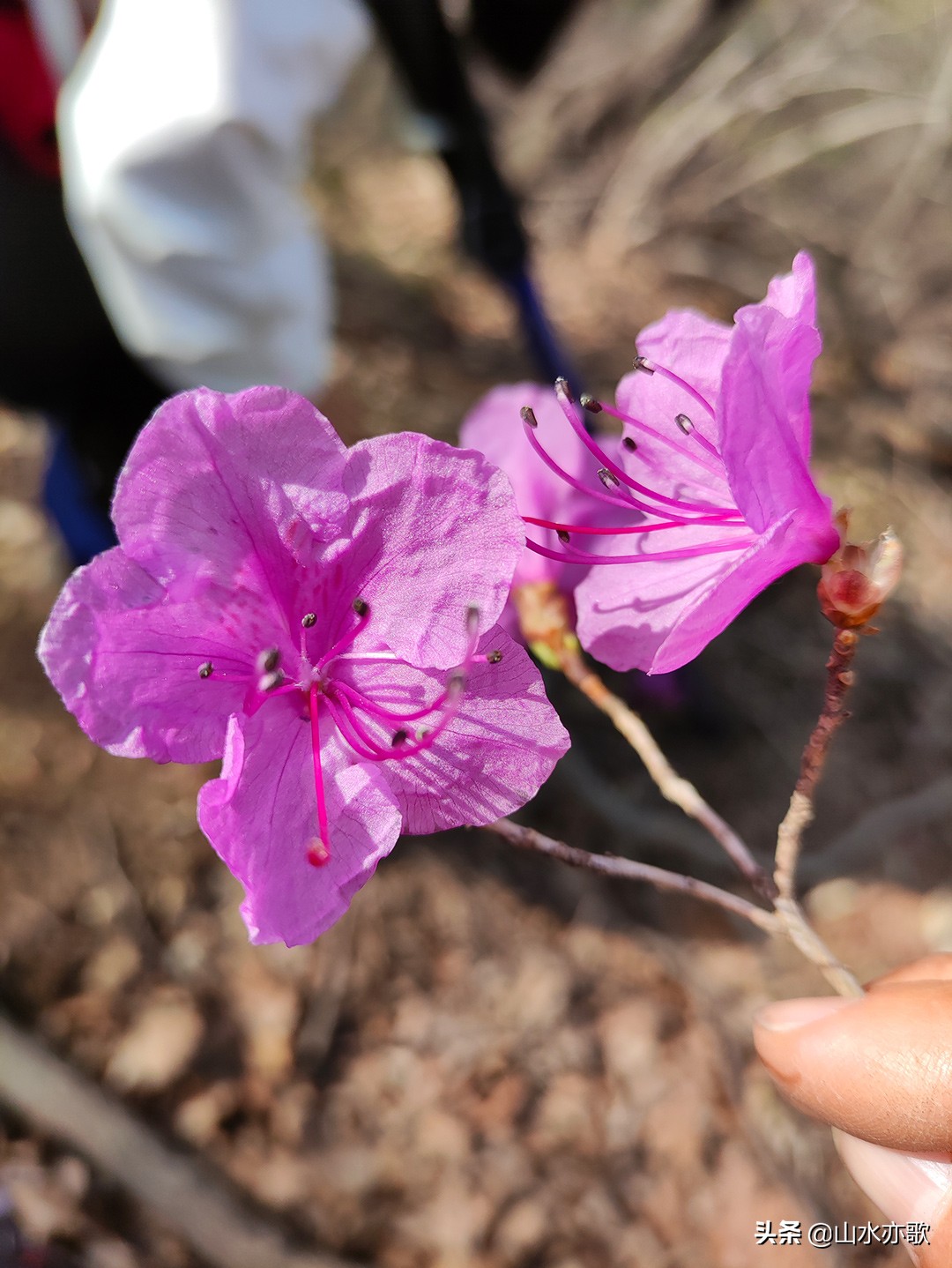 从石家庄到邢台，寻找大自然的鬼斧神工，爬上半个瓮，羞羞阴阳山