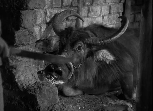 美国人拍摄的1978年的中国纪录片,美国人讲述中国1944