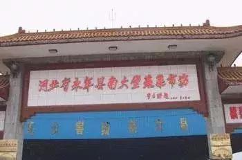 中国蔬菜新鲜批发,中国蔬菜批发市场