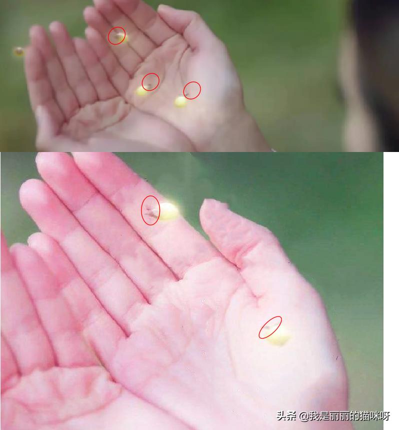 全网播放量超过百亿的电视剧,三生三世枕上书豆瓣评分多少