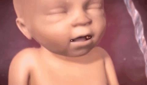 胎儿胎动最晚什么时候开始,正常胎儿胎动一般在什么位置