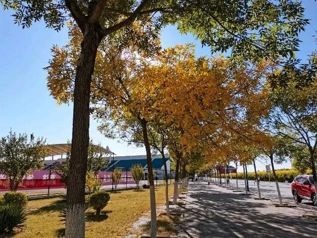 南开大学滨海学院天津排名,天津曾经的滨海学院