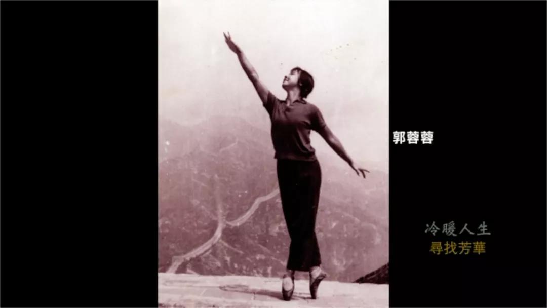 寻找过去的芳华,冷暖人生春草寻找生母