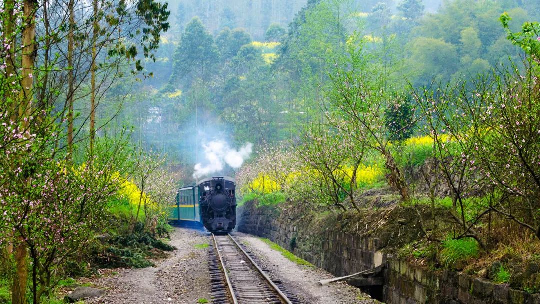 太美了开往春天的列车,这些开往春天的列车简直美呆了