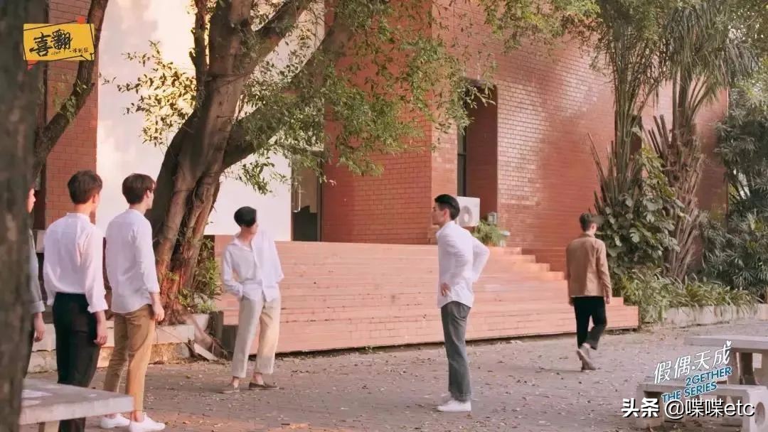 一集上瘾，这部9.2分腐剧甜到上头！