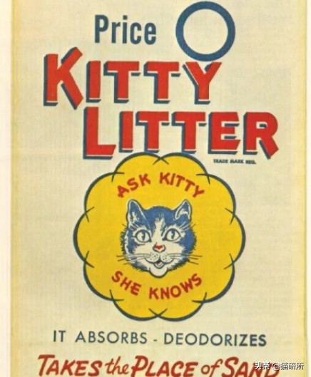 猫砂世界最重要的发明之一,为什么说猫砂是伟大的发明