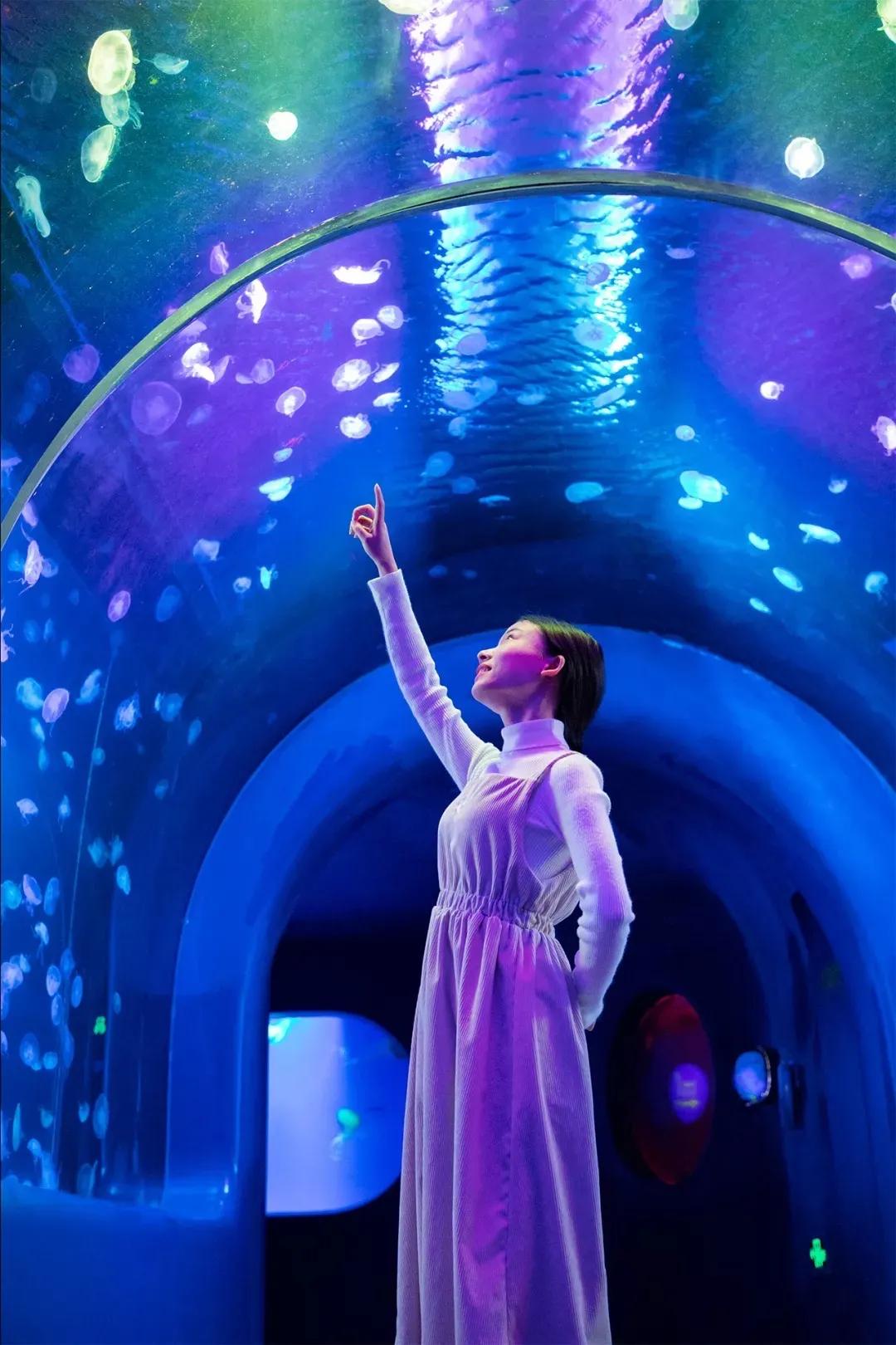 4号线值得逛的地方,9号线有什么地方可以玩