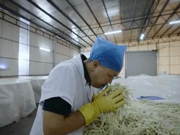 闻臭师介绍,闻臭师是干嘛的